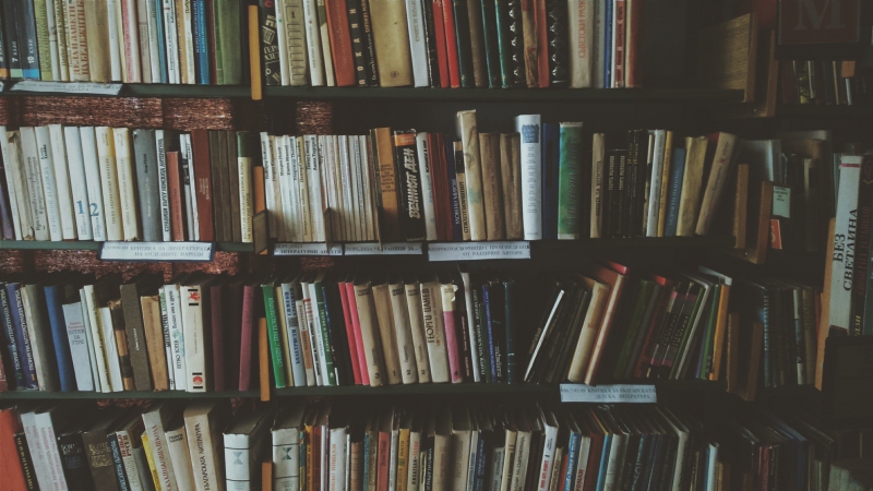 librairie-LE CASTELLET-min_bookcase-1869616 (1)